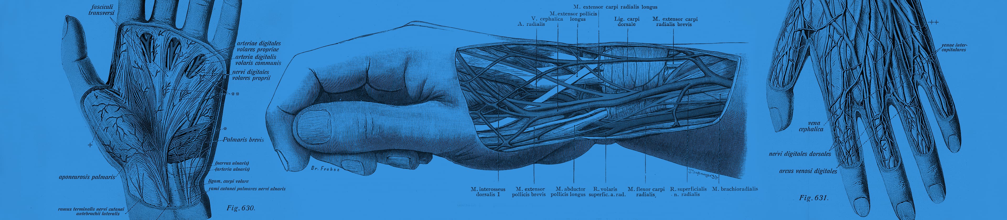 Search background image